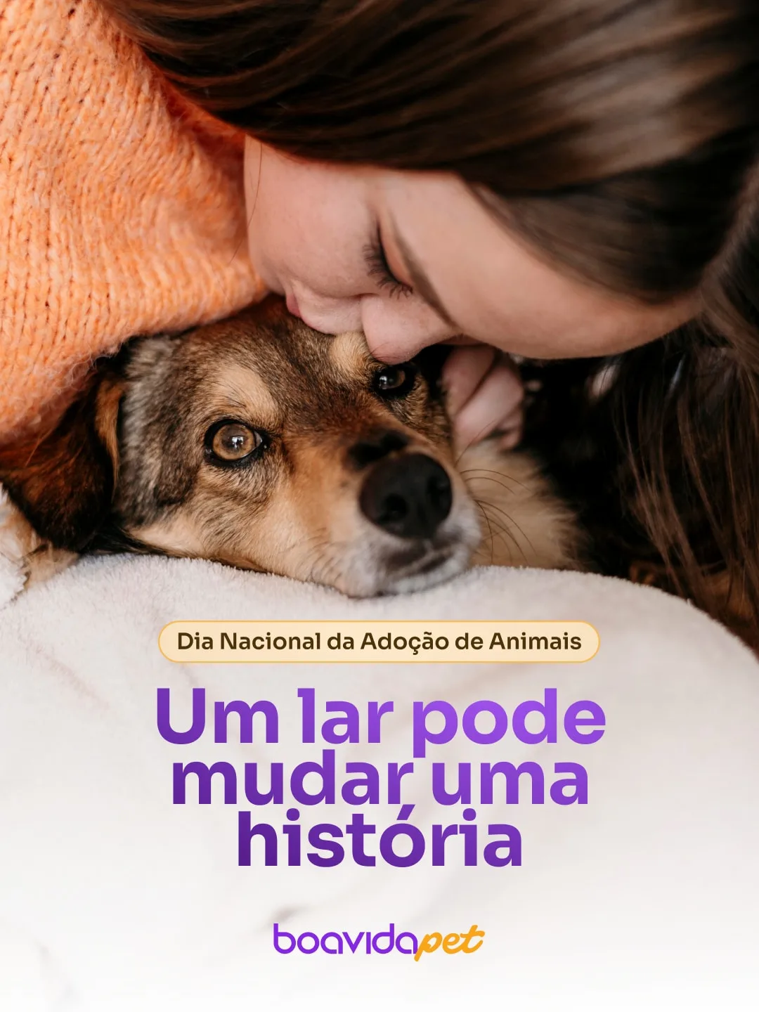 Post 1 de Boa Vida Pet