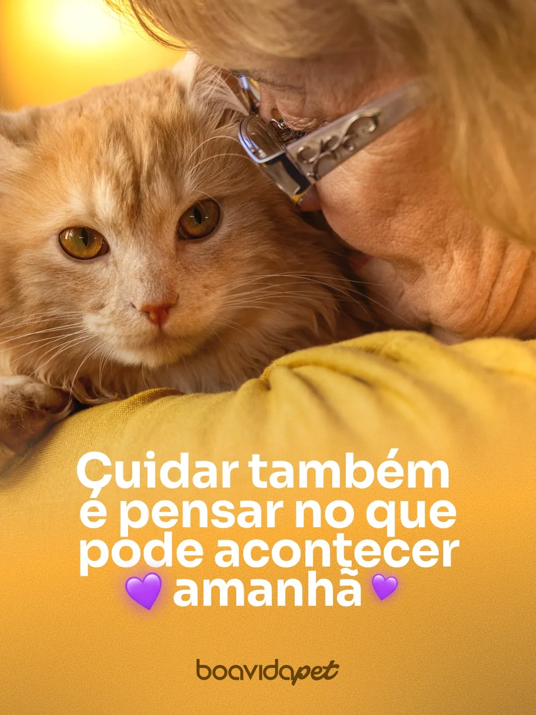 Post 2 de Boa Vida Pet